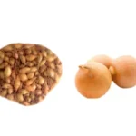 Luk za sadnju - lučica žuta okrugla 1kg