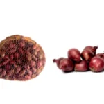 Luk za sadnju - lučica ljubičasta 500 g