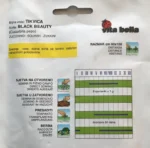 Tikvica - black beauty 25g - Slika 2