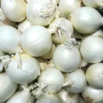 Luk za sadnju - lučica majski srebrenac 1kg