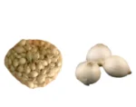 Luk za sadnju - lučica majski srebrenac 1kg - Slika 2