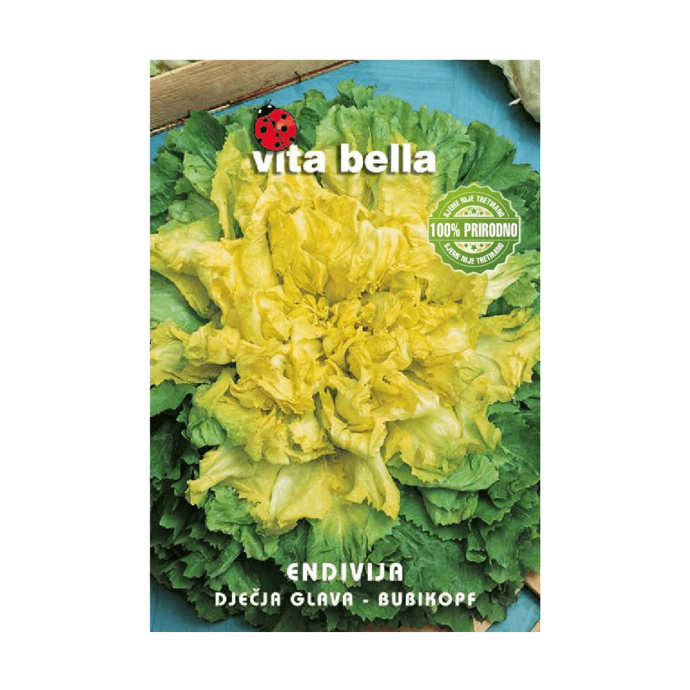 Endivija - dječija glava Endivija - dječija glava - Slika 1
