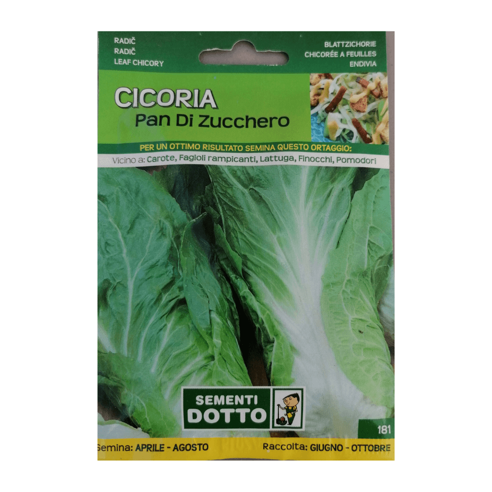 Radič - pan di zucchero 50g Radič - pan di zucchero 50g - Slika 1