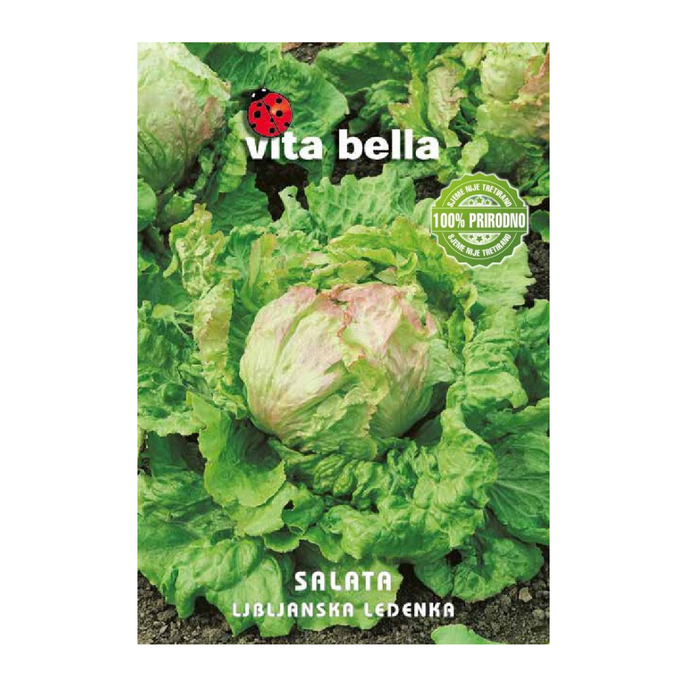 Salata - ljubljan. ledenka Salata - ljubljan. ledenka - Slika 1
