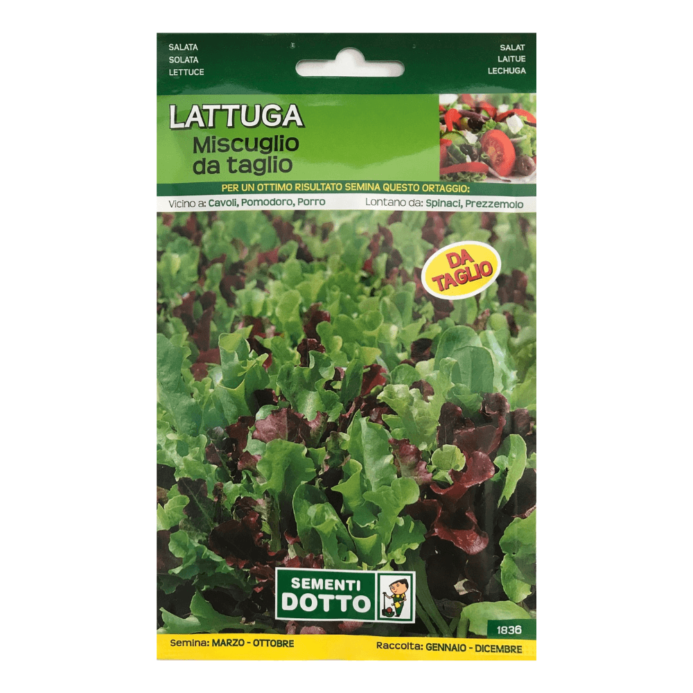 Salata - mix lattuga miscuglio da trento 21g Salata - mix lattuga miscuglio da trento 21g - Slika 1