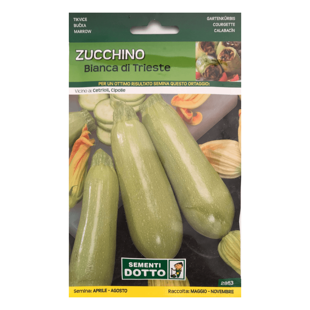 Tikvica - bianca di Trieste 17g Tikvica - bianca di Trieste 17g - Slika 1