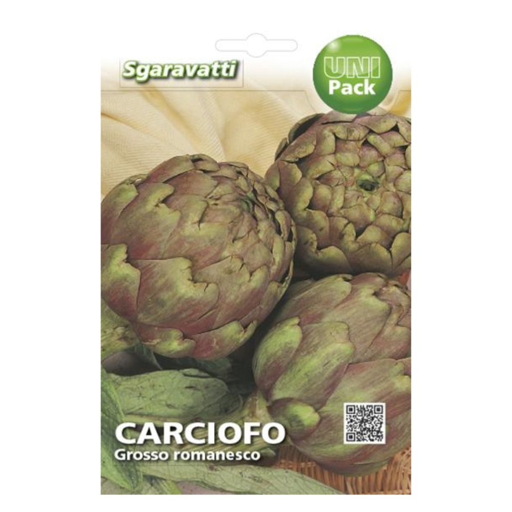 Artičoka - rimski tip (Grosso Romanesco) Artičoka - rimski tip (Grosso Romanesco) - Slika 1
