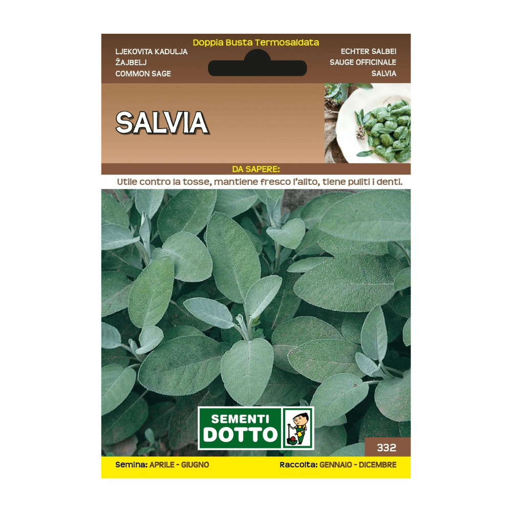 Ljekovita kadulja Ljekovita kadulja - Slika 1
