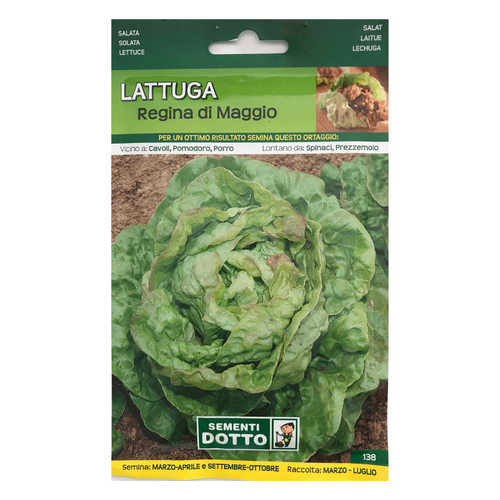 Salata - majska kraljica 18g Salata - majska kraljica 18g - Slika 1